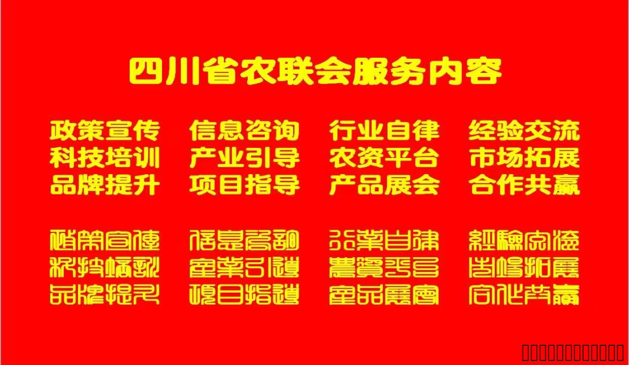 策馬揚鞭啟新程，同心共筑振興夢